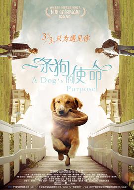 在线精品国产三级
